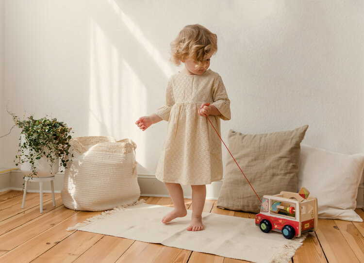 Bababoo Friends on Tour Push and Pull Toy