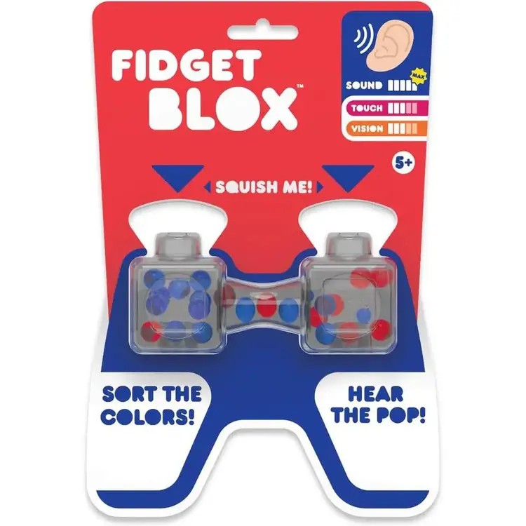 Fidget Blox Sound, Vision & Touch Assrt