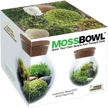 Moss Bowl