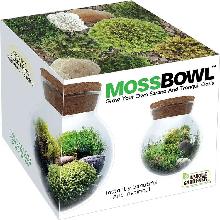 Moss Bowl