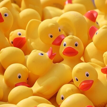 Baby, Toddler & Preschool