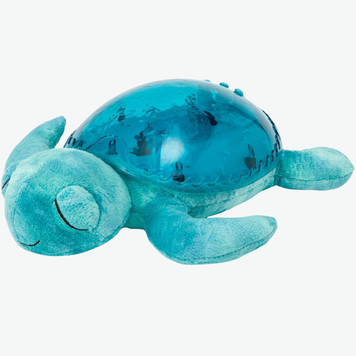 Tranquil Turtle Aqua