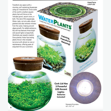 Water Plants DIY
