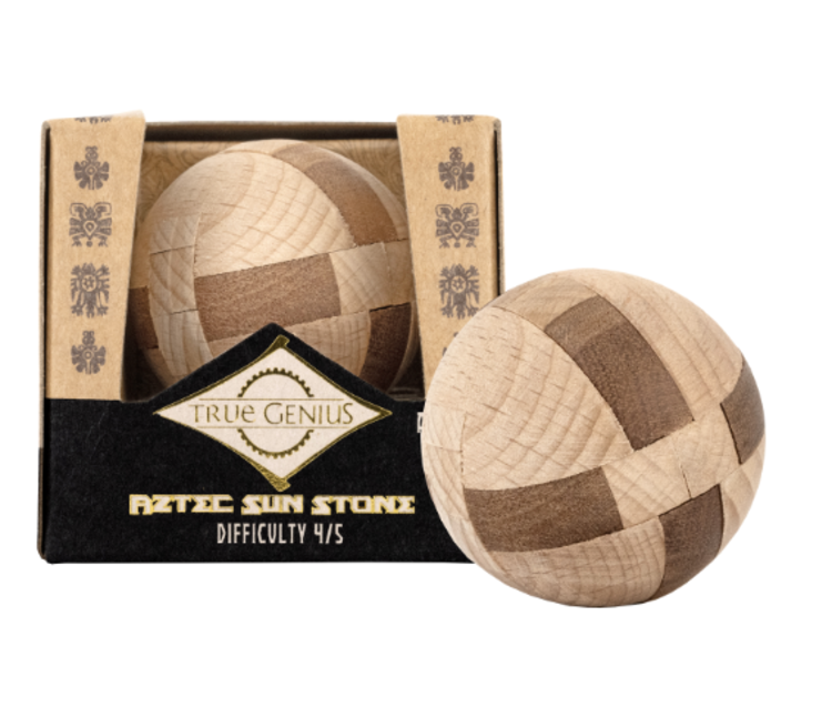 True Genius True Genius Wood and Metal Brainteaser Puzzles