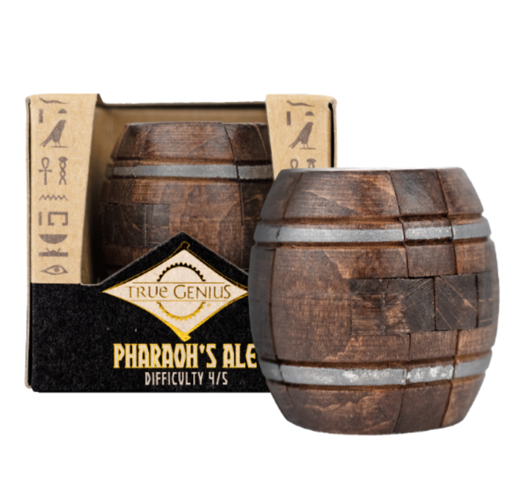 True Genius True Genius Wood and Metal Brainteaser Puzzles