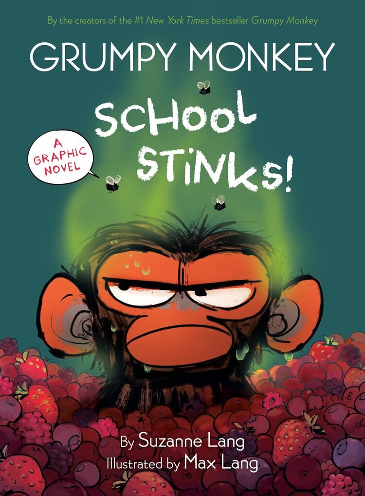 Grumpy Monkey School Stinks Graphic Novel