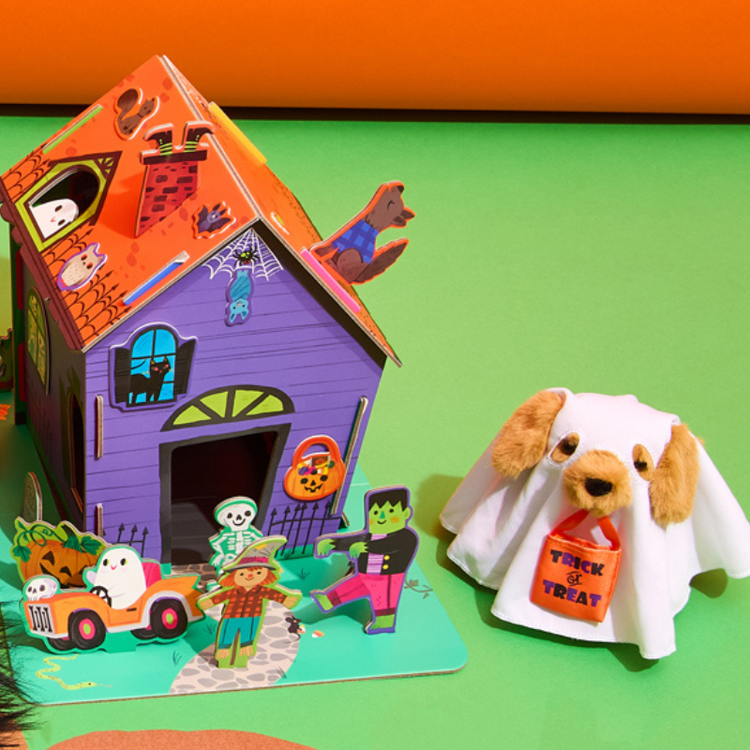 Make Your Own Haunted House