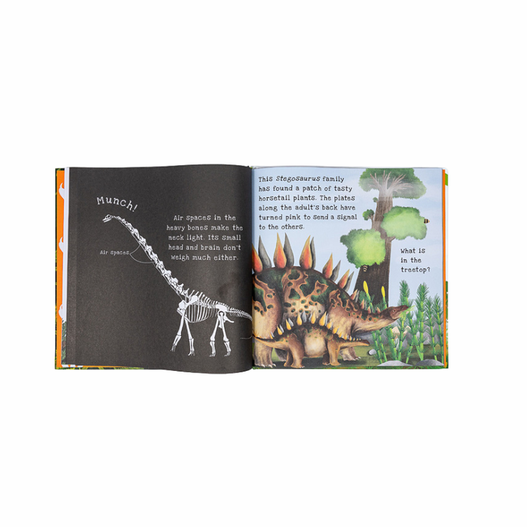 Kane Miller Shine-A-Light Dinosaurs