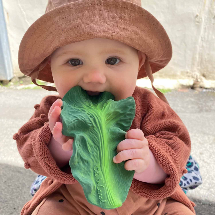 Oli & Carol SALE! Kendall the Kale