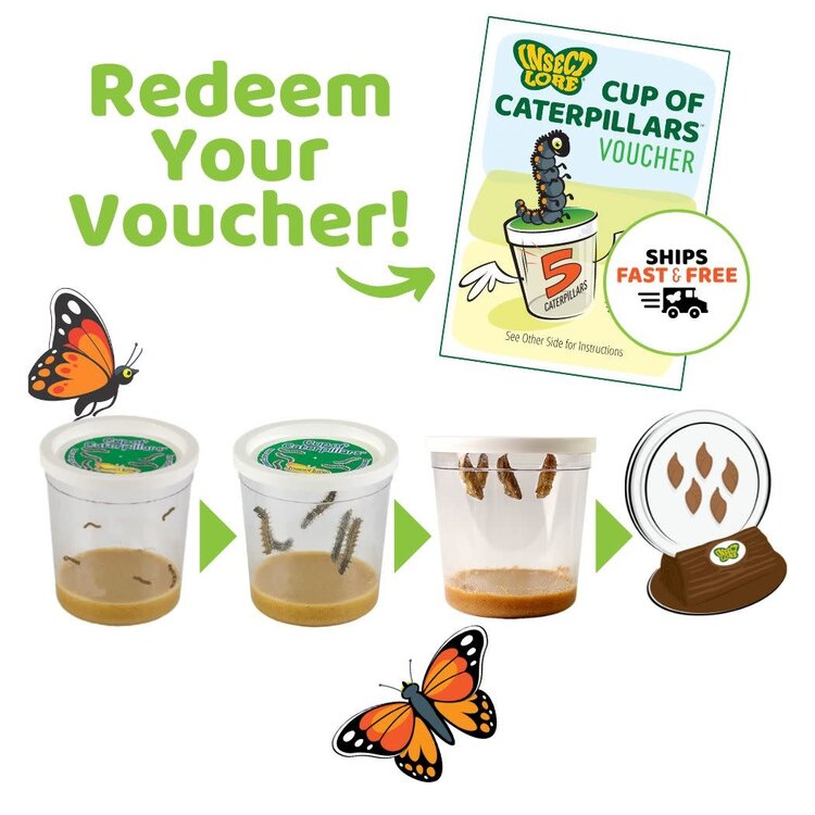 Insect Lore Butterfly Garden with Prepaid Voucher