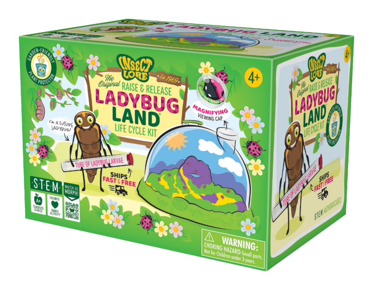 Insect Lore Ladybug Land with Prepaid Voucher