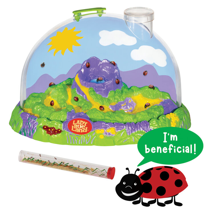 Insect Lore Ladybug Land with Prepaid Voucher