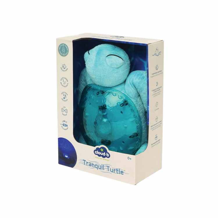 Tranquil Turtle Aqua