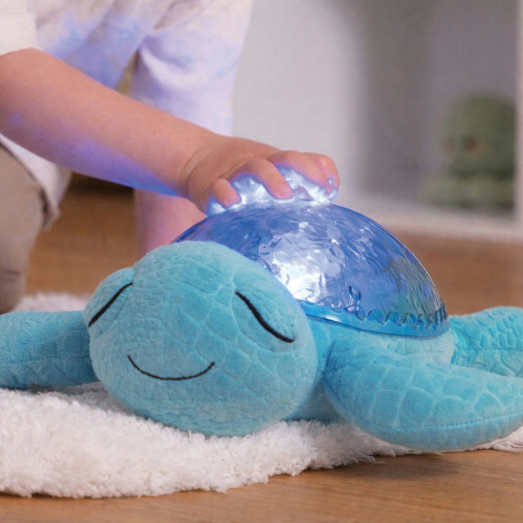 Tranquil Turtle Aqua
