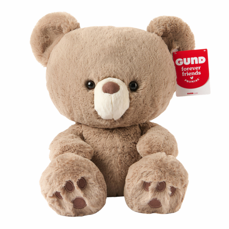Kai Bear GUND Forever Friends Promise
