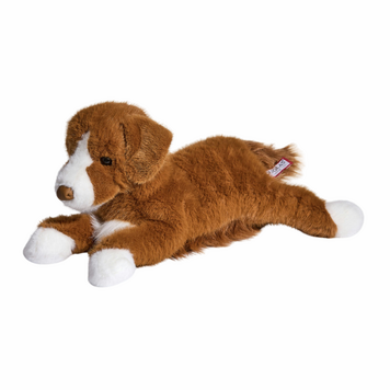 Rush Duck Tolling Retriever Dog