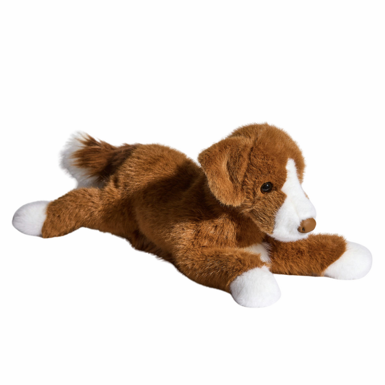 Rush Duck Tolling Retriever Dog