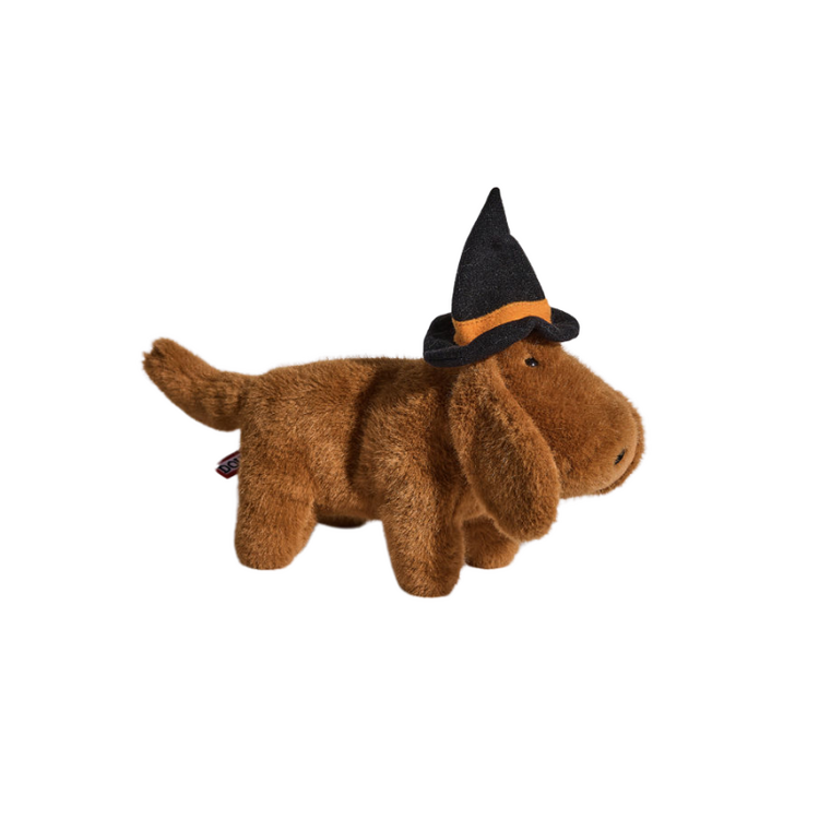 Douglas Halloweenie Dachshund Muzzle