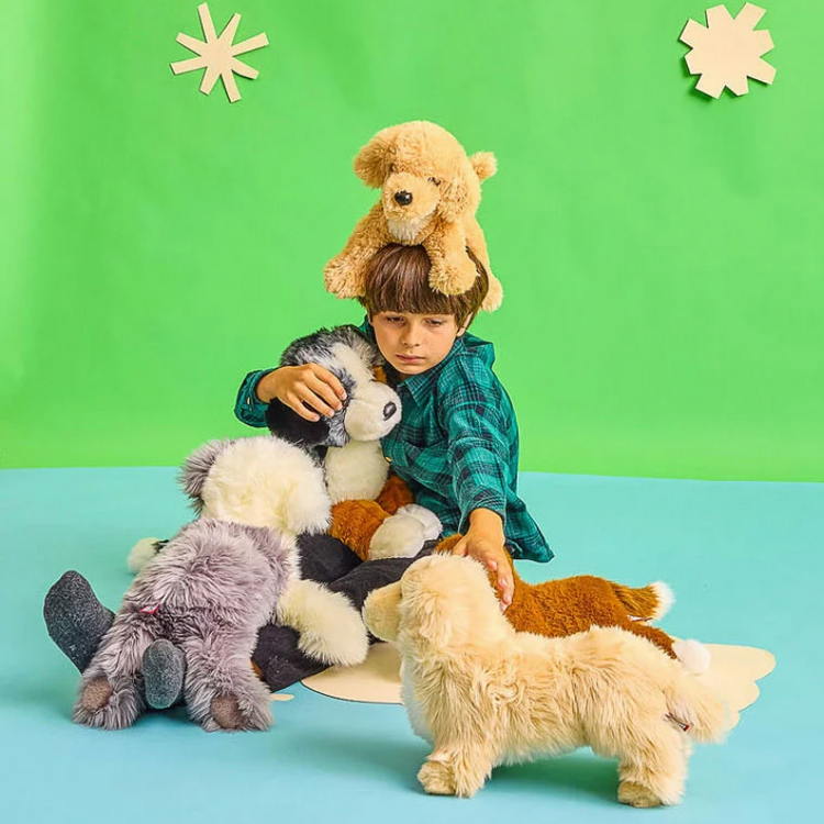 Noodle Goldendoodle