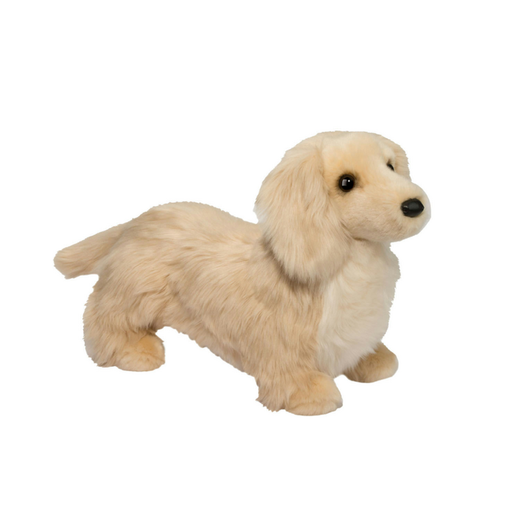Haisley Golden Dachshund Dog