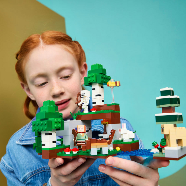 First Night Adventure LEGO Minecraft