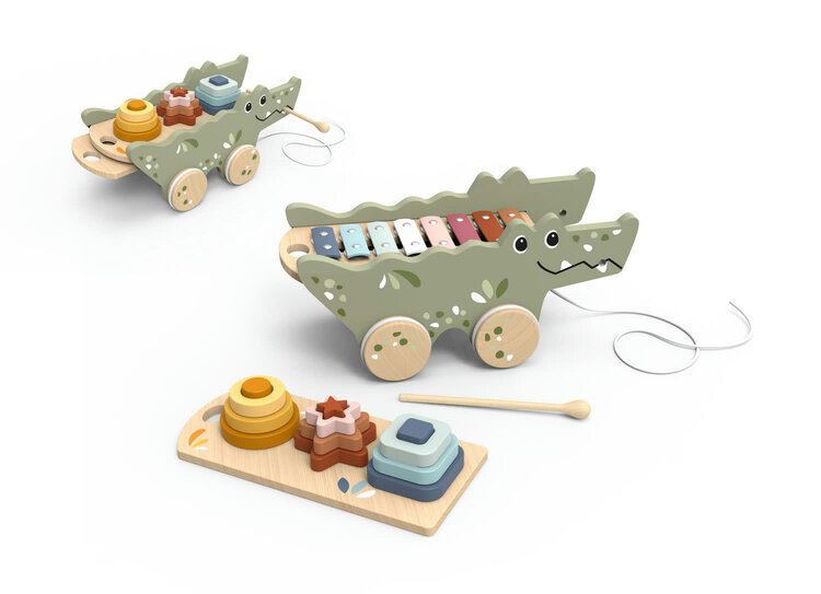 Croco Xylo & Activity Pull Along