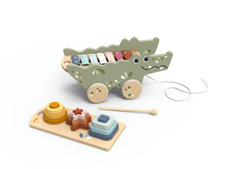 Croco Xylo & Activity Pull Along