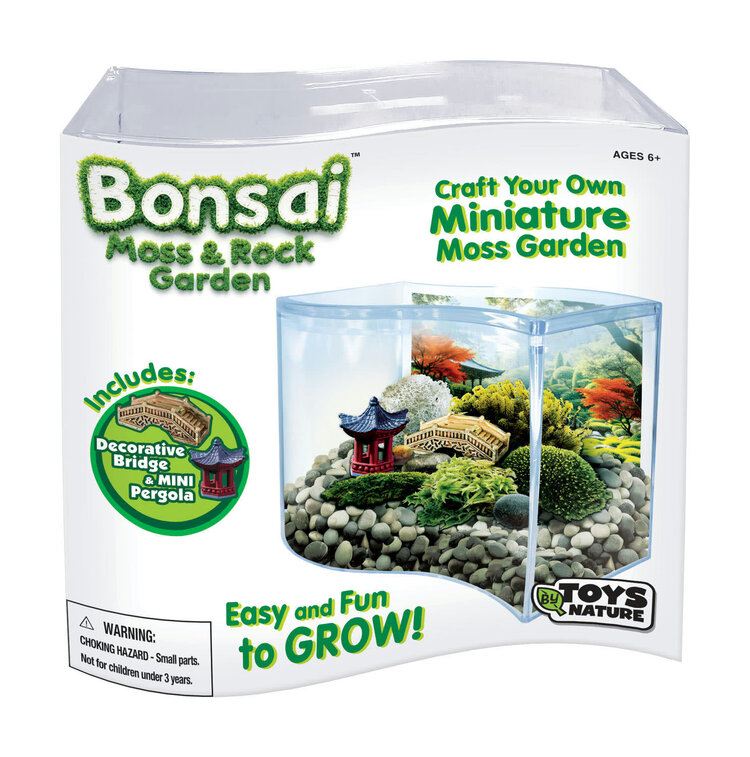 Bonsai Moss and Rock Garden