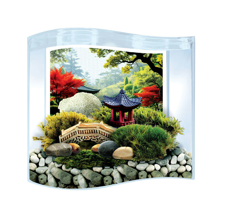 Bonsai Moss and Rock Garden