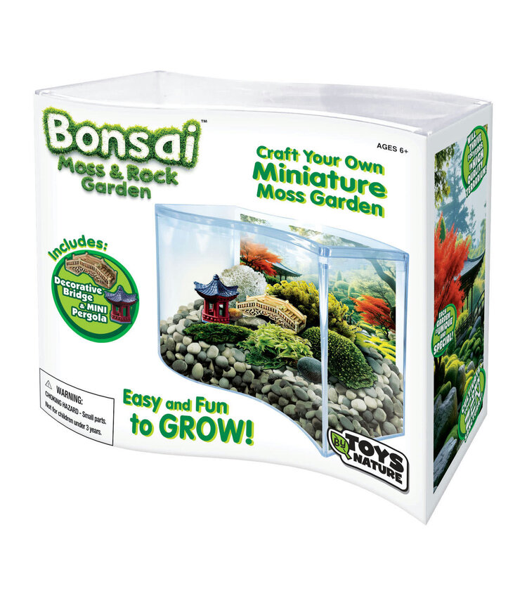 Bonsai Moss and Rock Garden