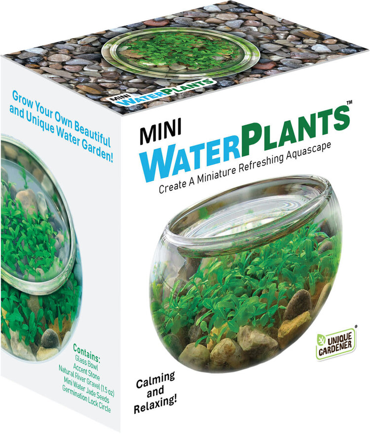 Mini Water Plant Case