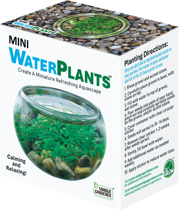 Mini Water Plant Case