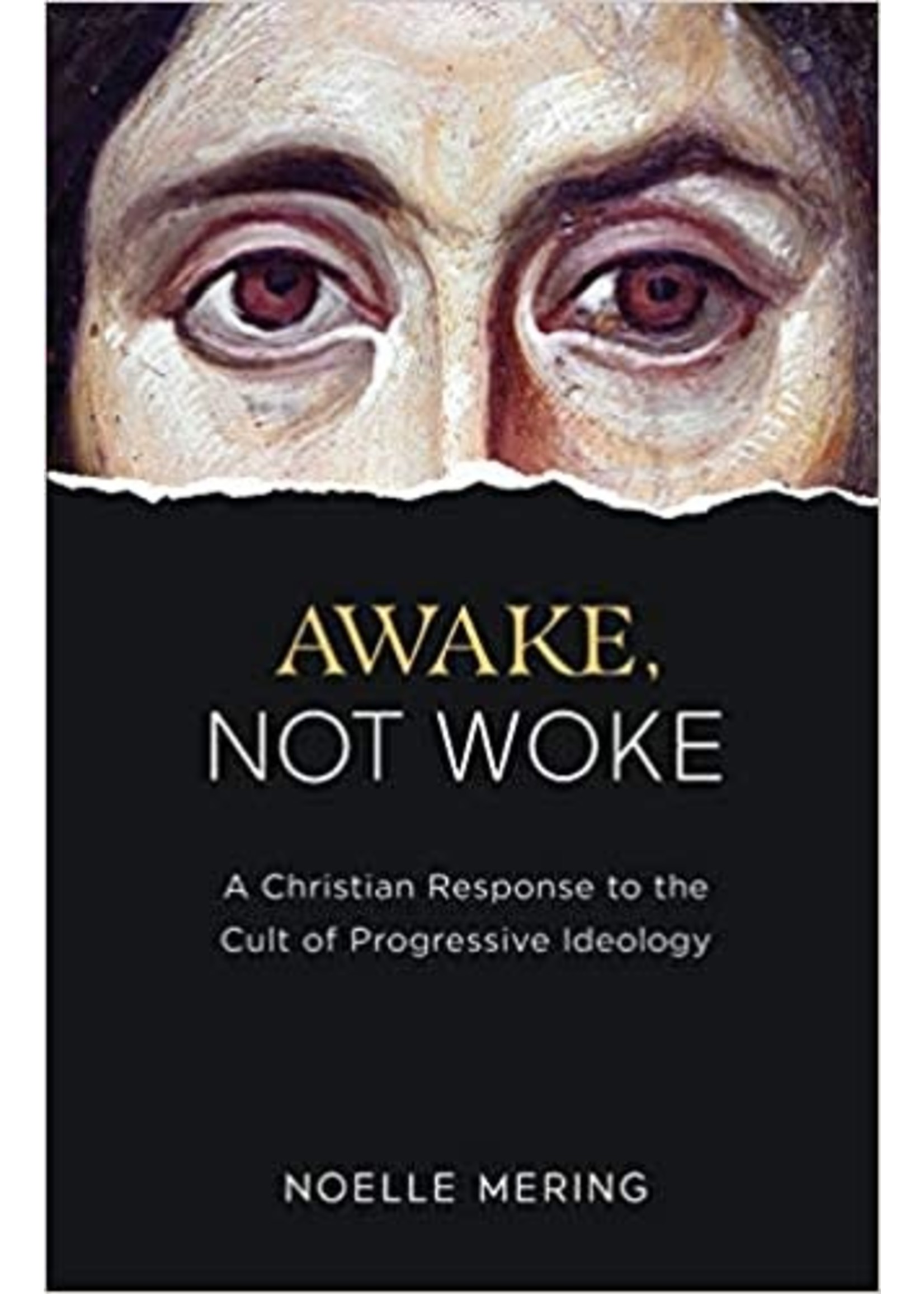 TAN Books Awake Not Woke: A Christian Response to the Cult of Progressive Ideology