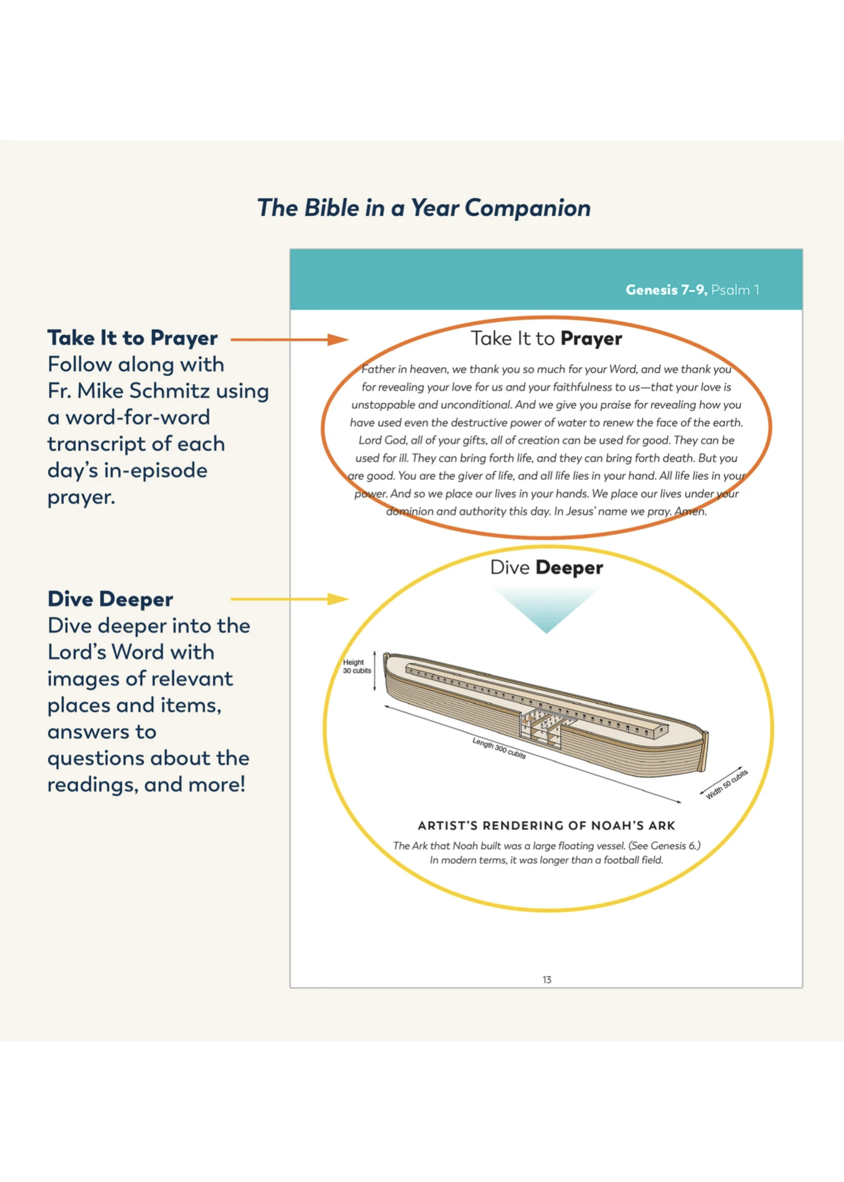 Ascension Press Bible in a Year Companion, Volume II