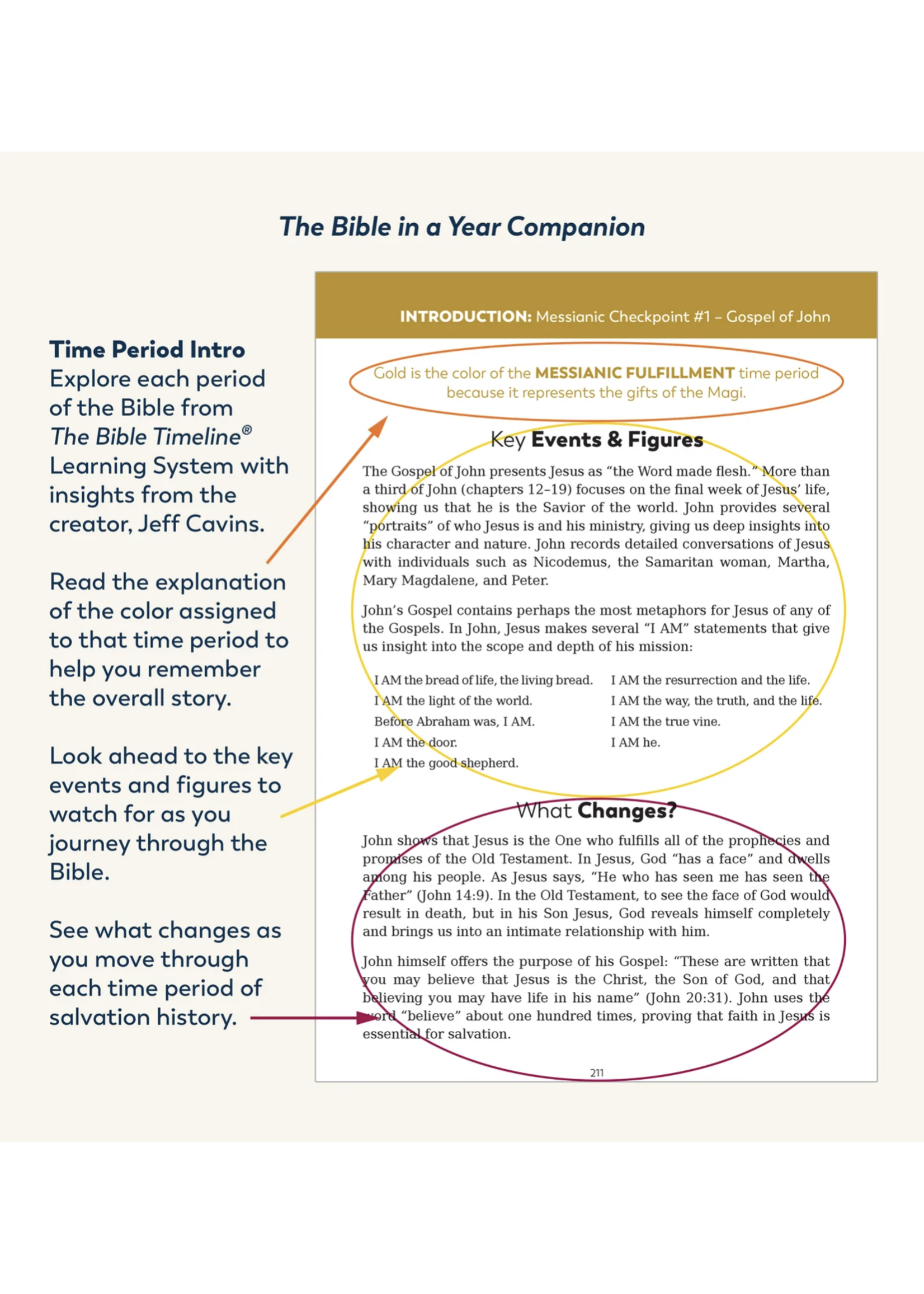 Ascension Press Bible in a Year Companion, Volume II