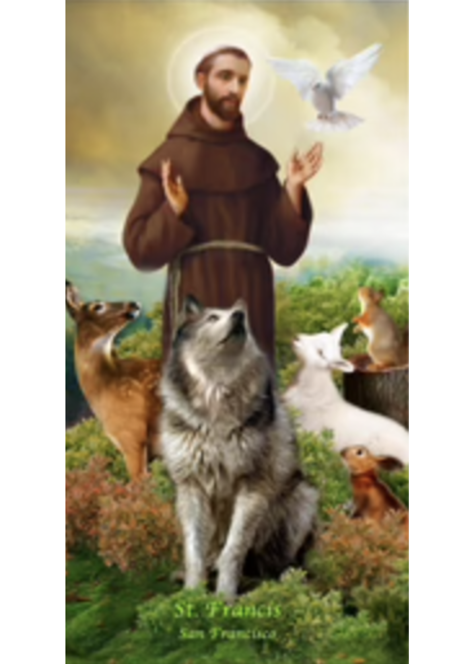 LED Saint Francis - LED Candle
