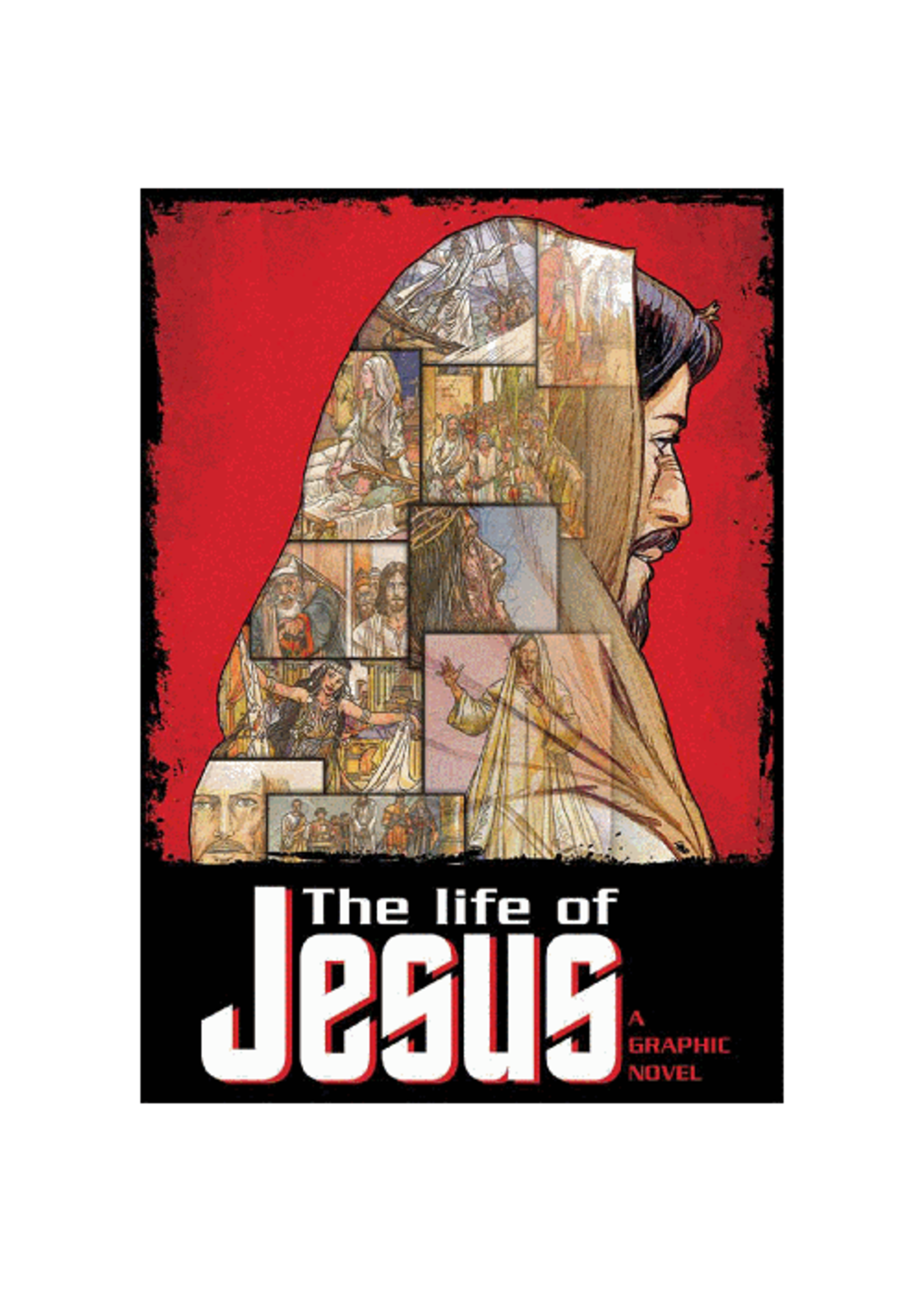 Life Of Jesus: Graphic Novel