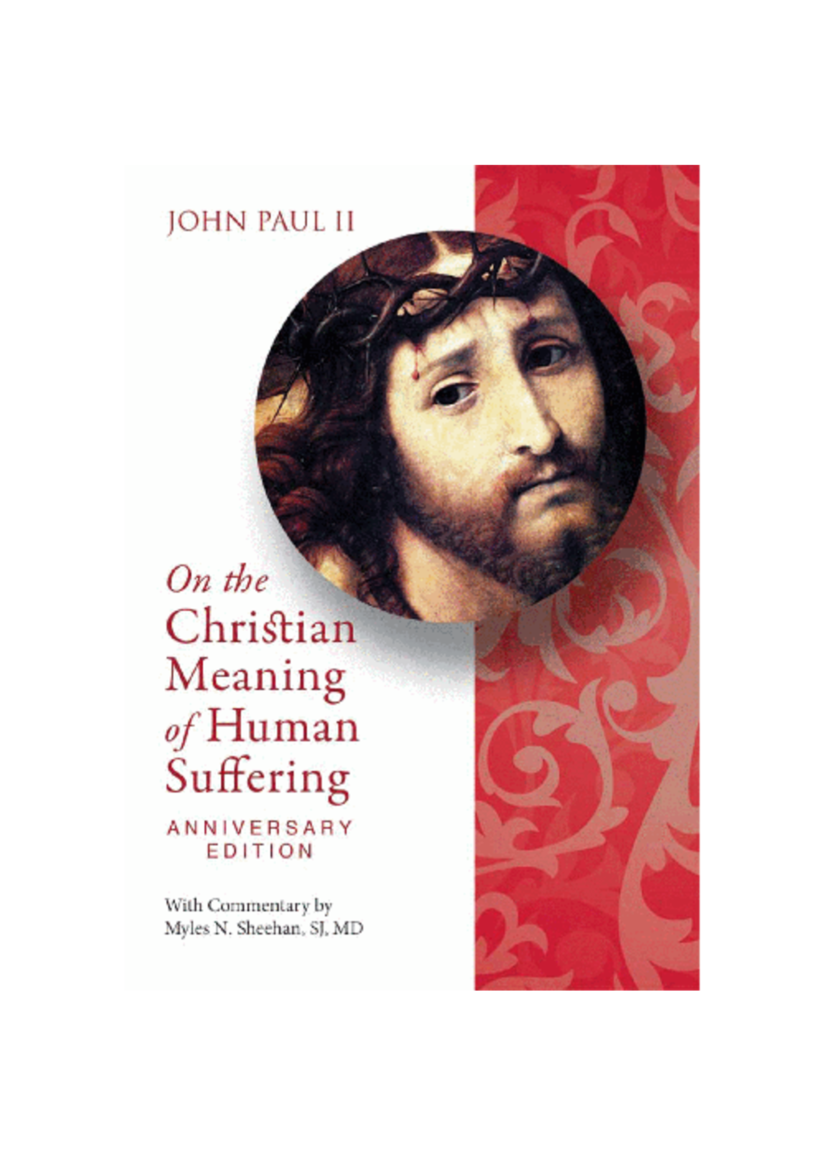 On the Christian Meaning Human Suffering