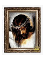 Crown of Thorns canvas frame 18" x 24"