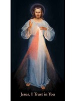 Chaplet of Divine Mercy Prayer Card
