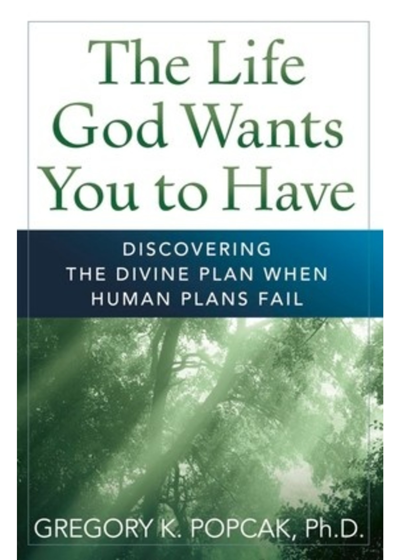The Life God Wants You to Have: Discovering the Divine Plan When Human Plans Fail