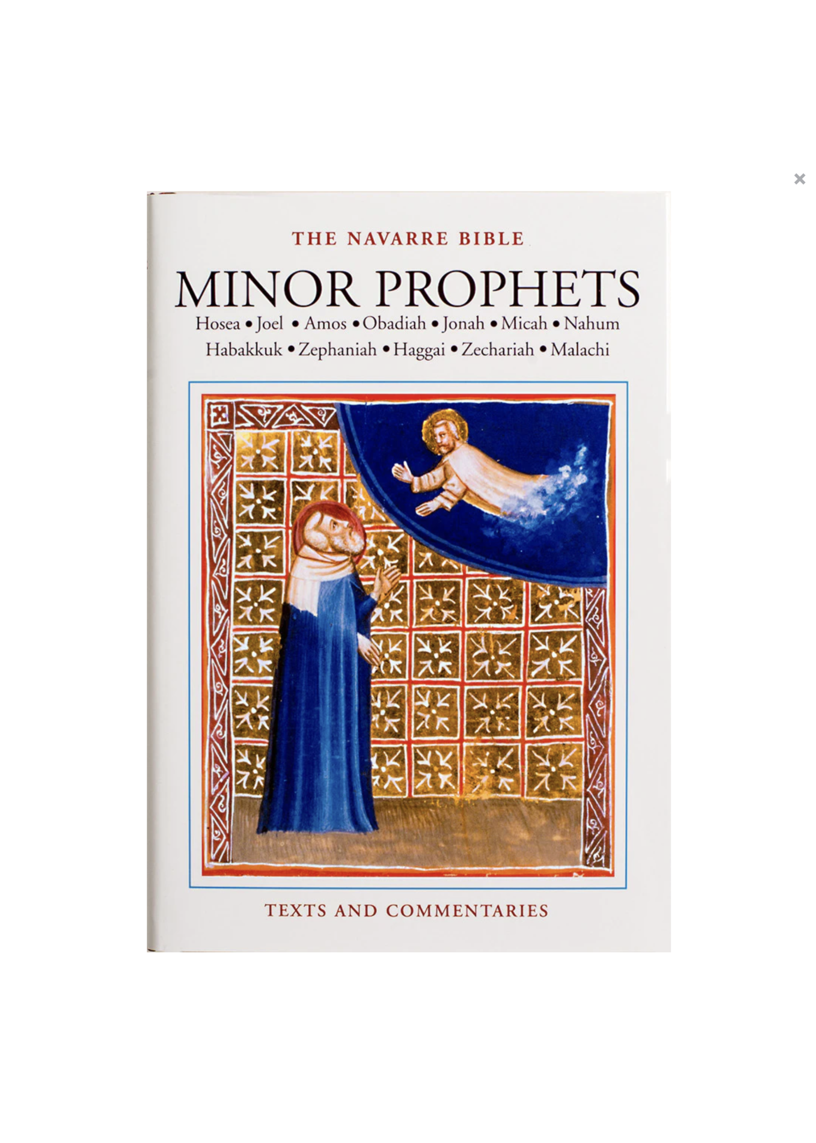 Navarre Bible: Minor Prophets