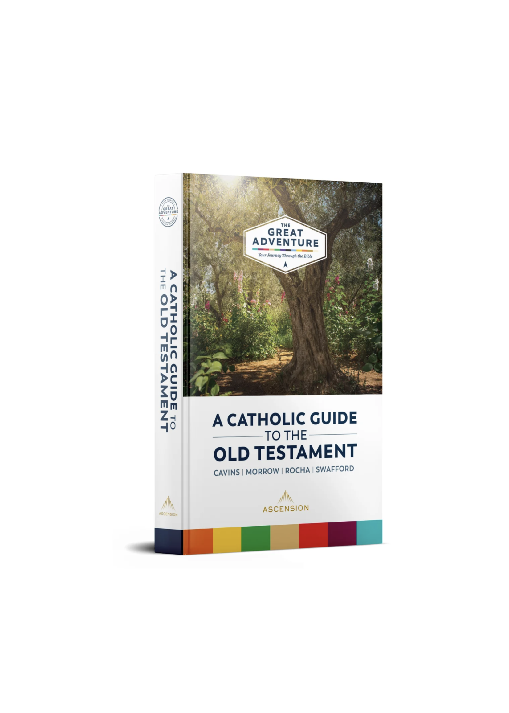 Ascension Press Great Adventure Catholic Guide to the Old Testament