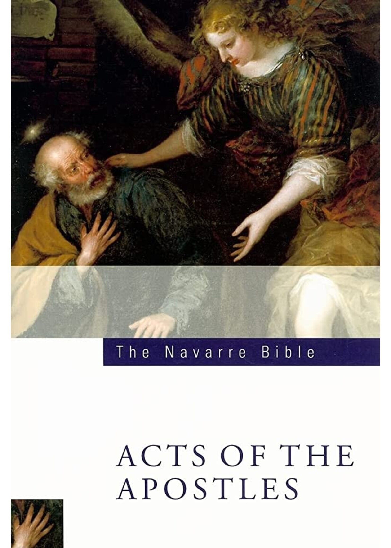 The Navarre Bible: Acts of the Apostles