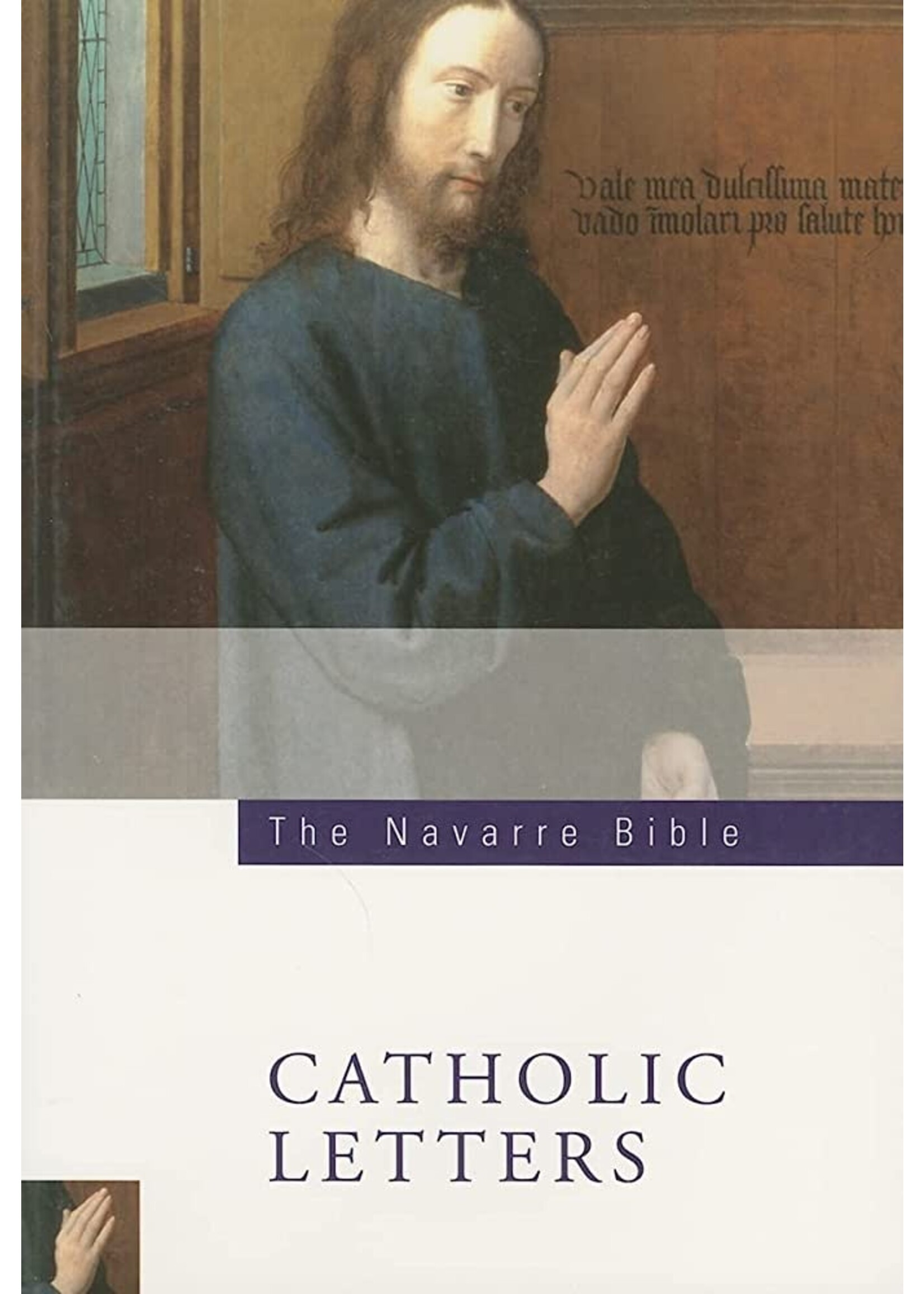 The Navarre Bible: Catholic Letters