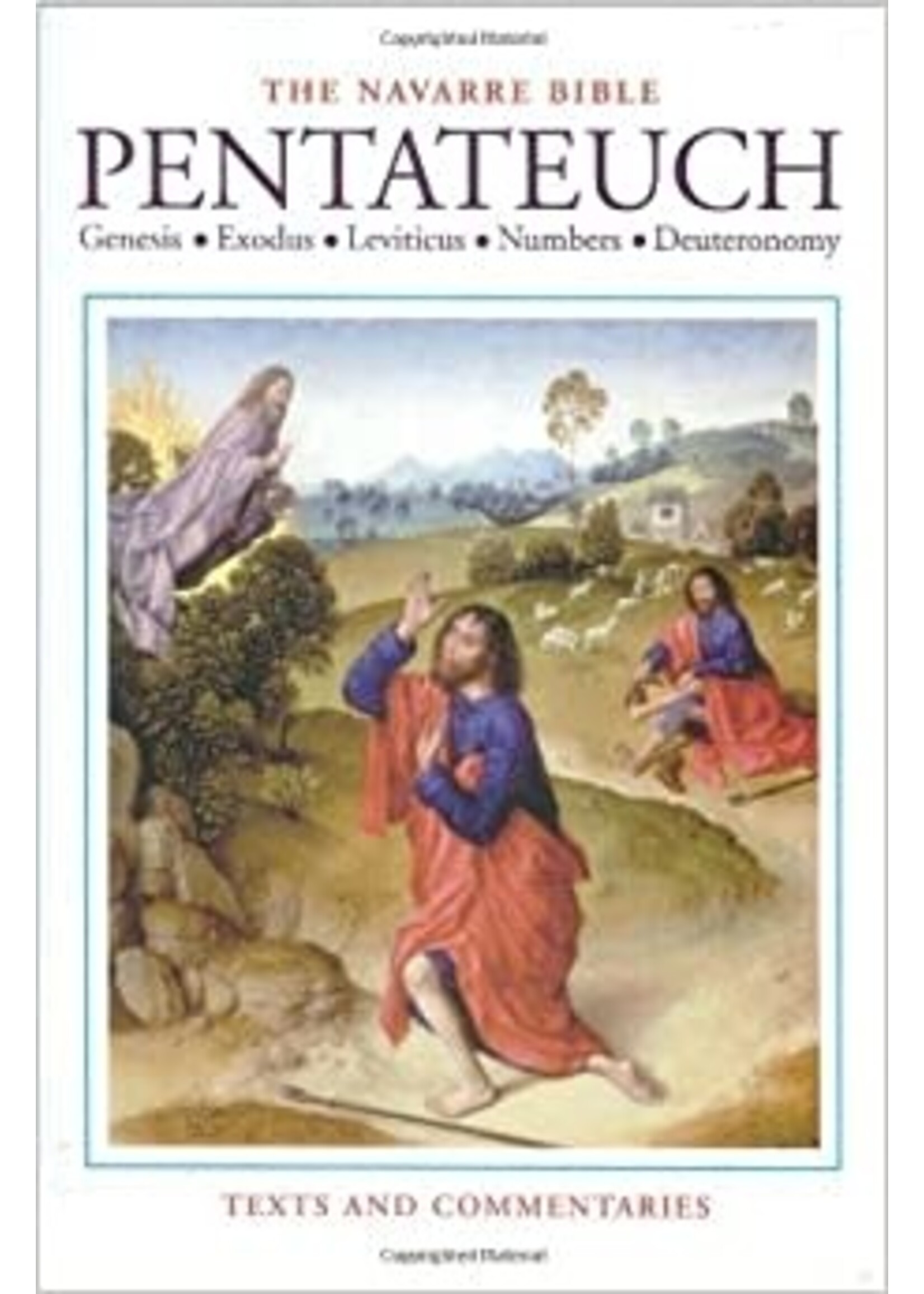 Navarre Bible: The Pentateuch