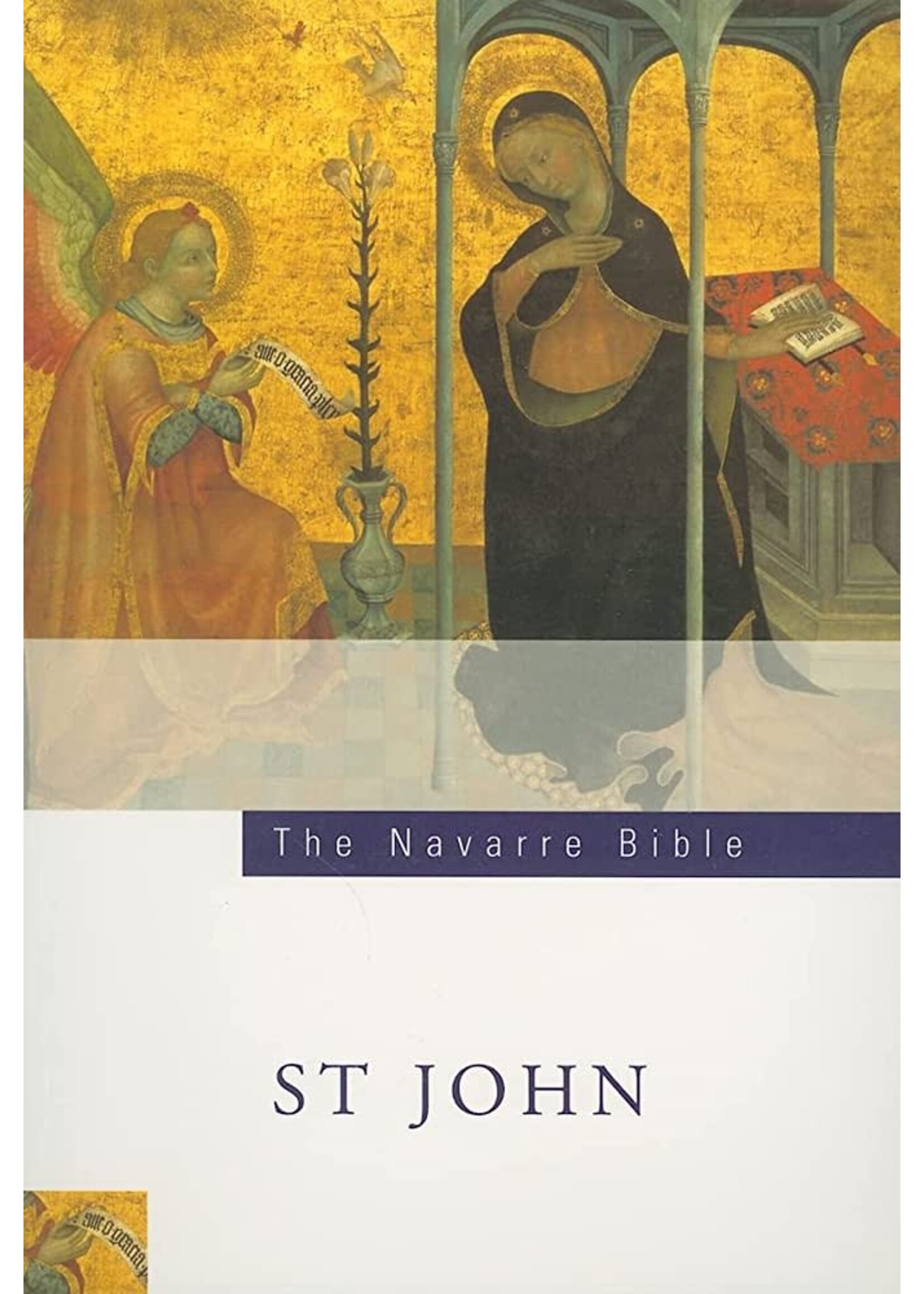 The Navarre Bible: The Gospel of St John