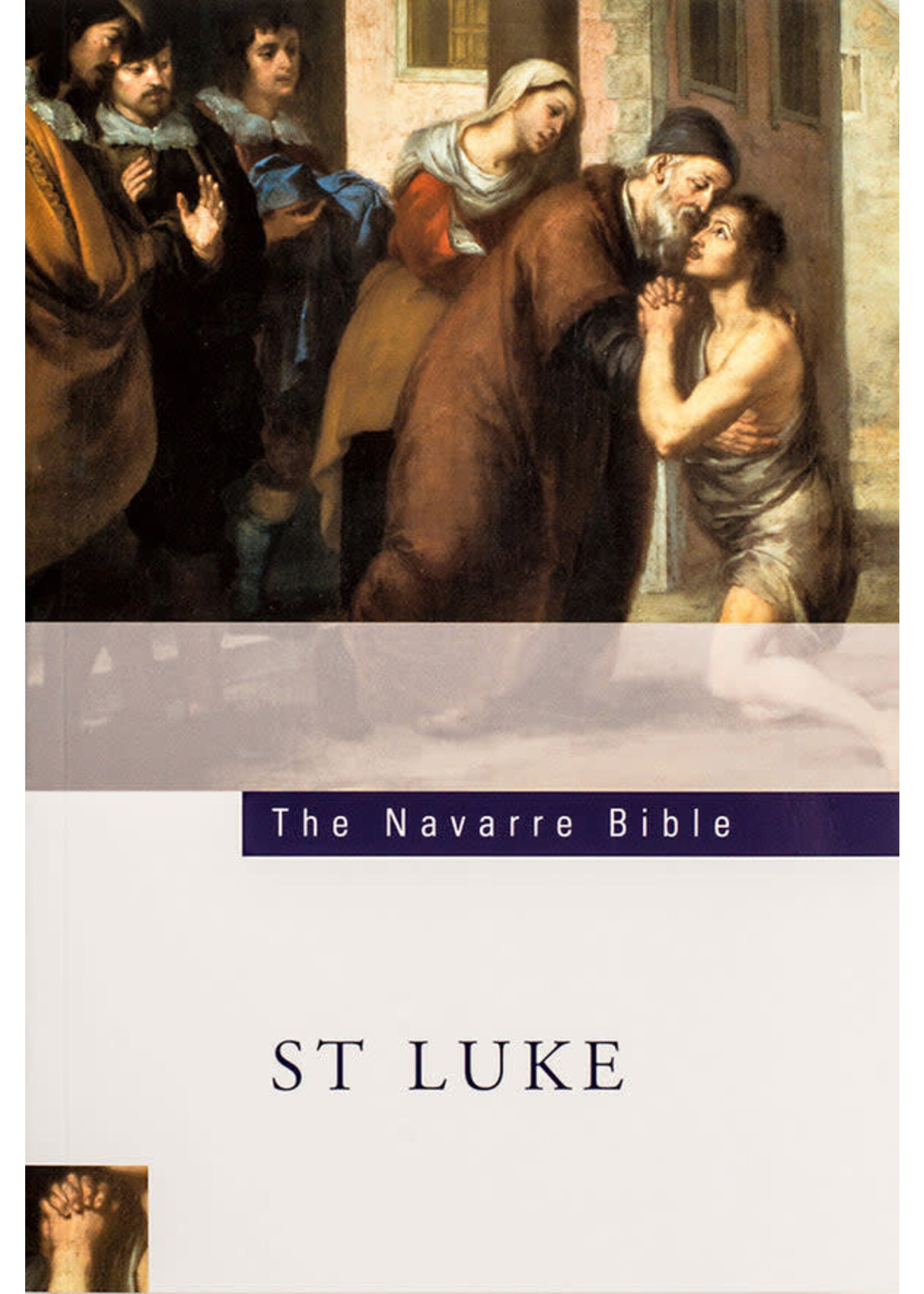 The Navarre Bible: The Gospel of Luke