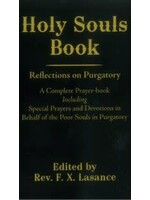 Holy Souls Book Reflection on Purgatory