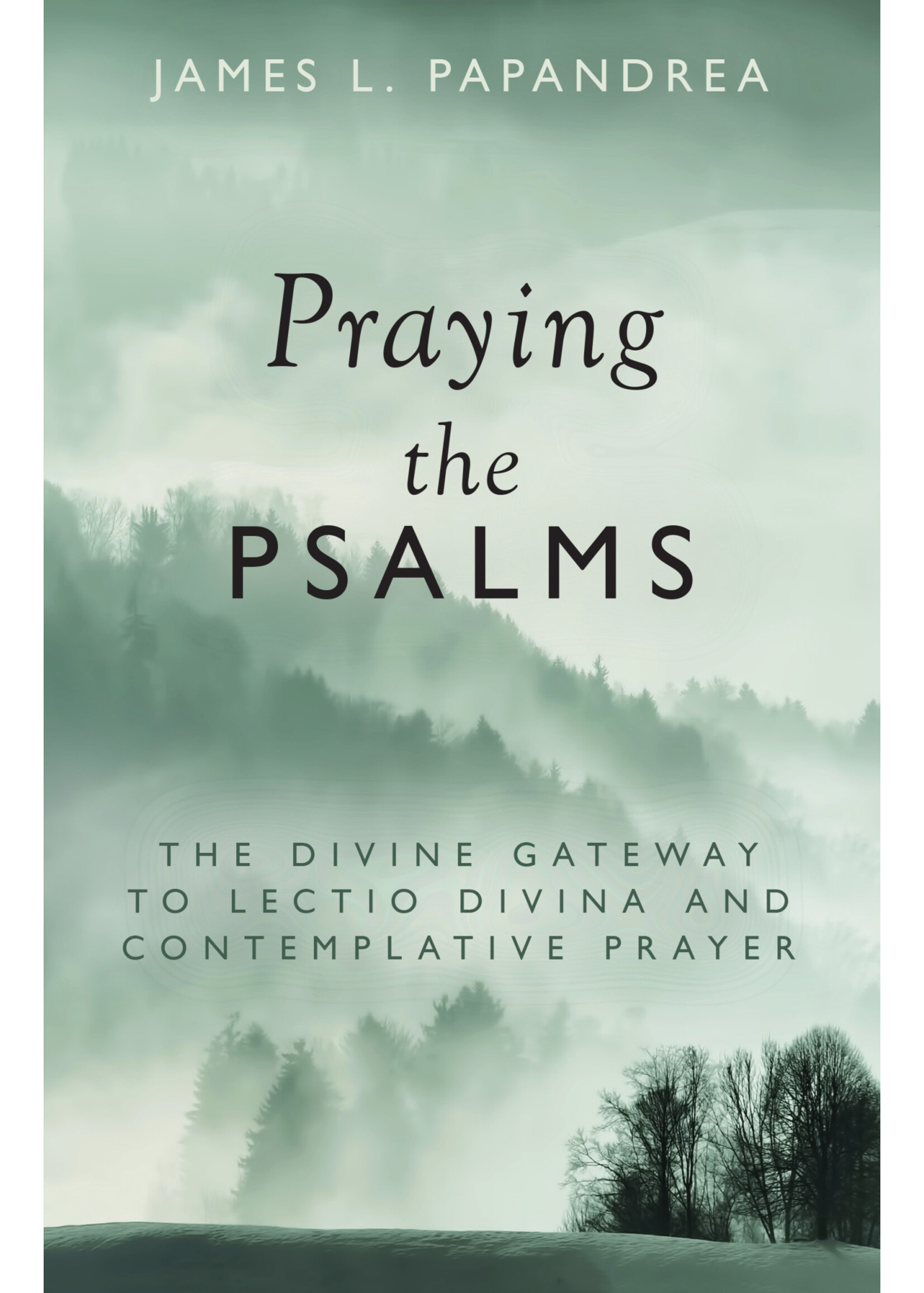 Sophia Institute Press Praying the Psalms: The Divine Gateway to Lectio Divina and Contemplative Prayer